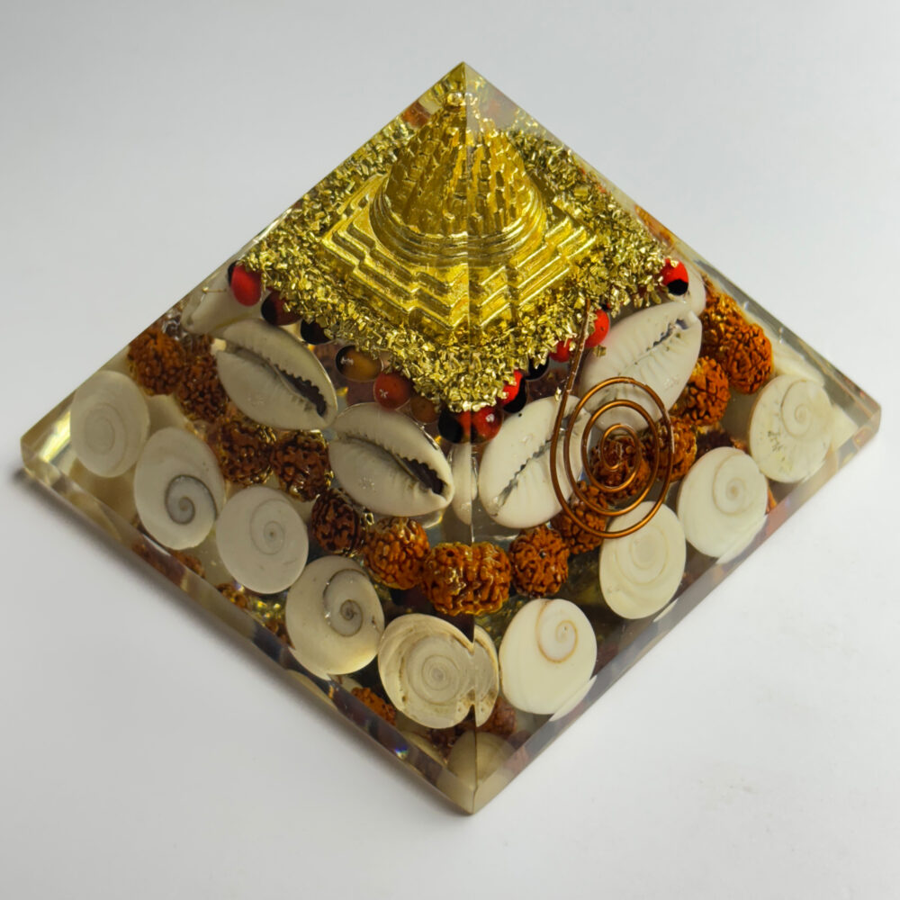 Shop Primary Image